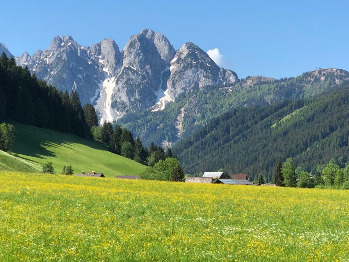 Ferienwohnung Kogelblick Gosau Kültér fotó